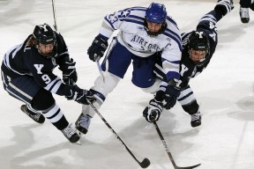 九游官方平台-网坛双雄会，莎拉波娃巅峰对决，纳达尔50分钟激战澳大利亚悍将